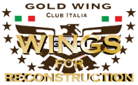 goldwings_for_reconstrucion