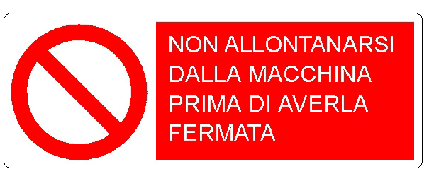 ALLUMINIO DIVIETO 350X125