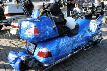 Gold Wings For Reconstruction 24 20120921 1385960926